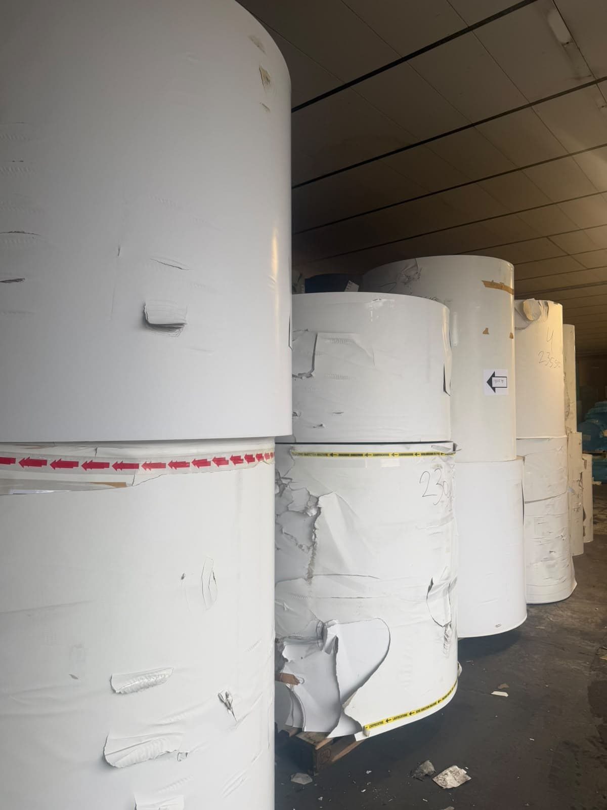 Quote #234 - Duplex Carton in Reels White Top